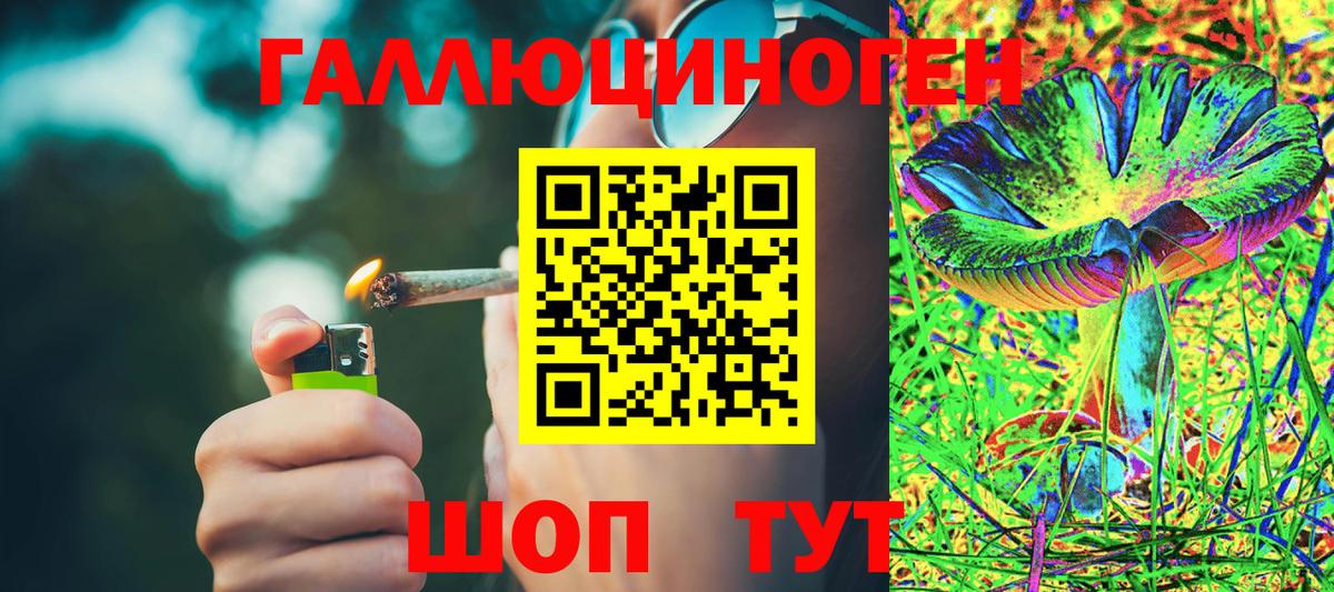 Галлюциногенные грибы прущие грибы Долгопрудный