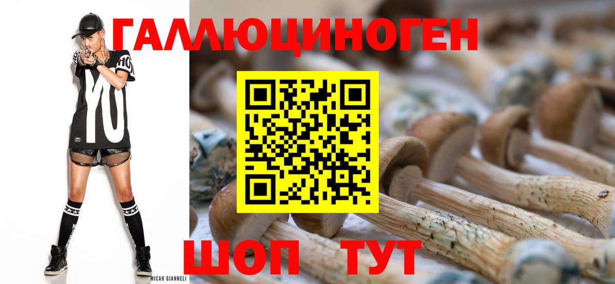 Галлюциногенные грибы Cubensis  Вход с VPN  Долгопрудный 